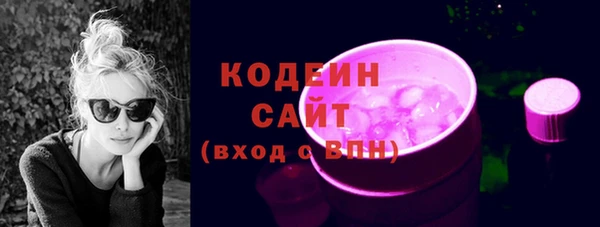 шишки Богородицк