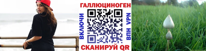 даркнет сайт  Вихоревка  Псилоцибиновые грибы мицелий 